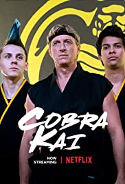 ดูหนังออนไลน์ฟรี Cobra Kai Season 1 EP.7 คอบร้า ไค ปี 1 ตอนที่ 7 (ซับไทย)